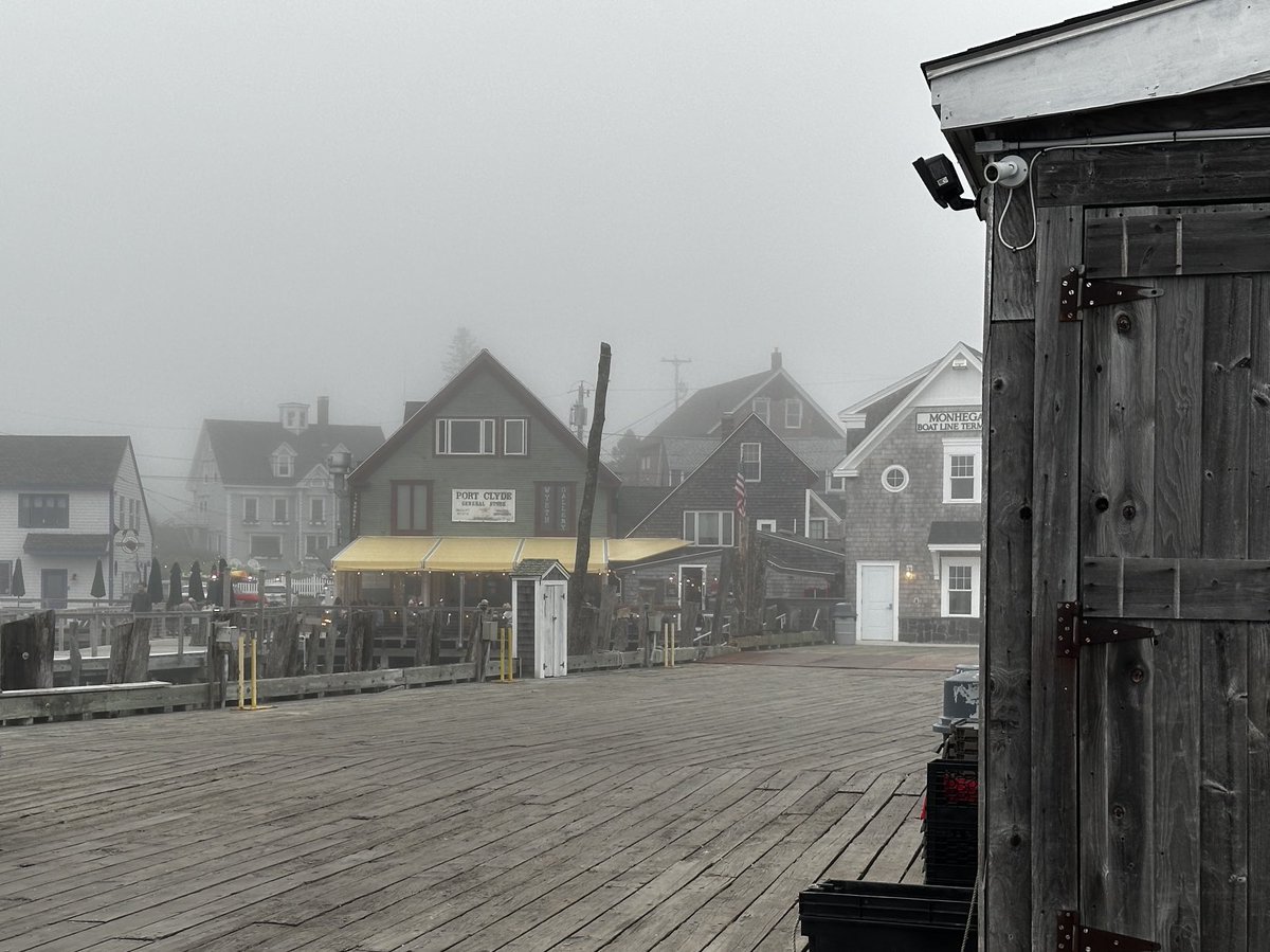 Gus Coldebella tweet media