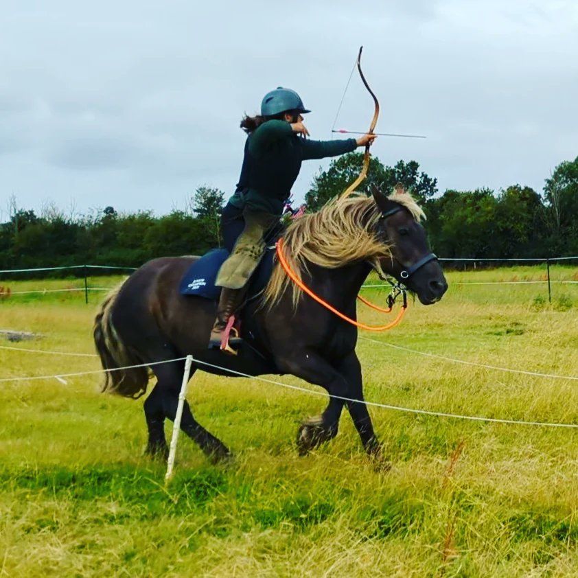 Only two weeks until the National Championships, practising the Tower and Skirmish tracks today #horsebackarchery #mountedarchery #archery #training #tower #skirmish