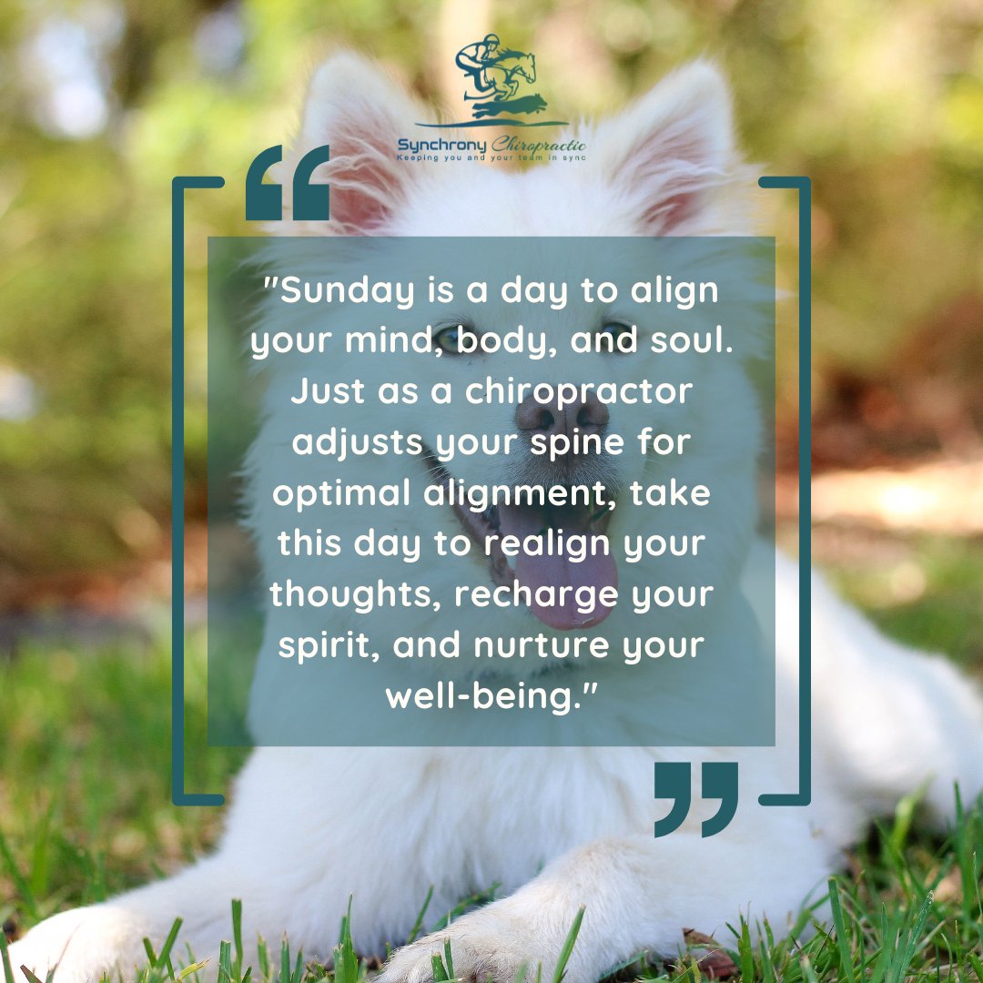 synchronychiro's tweet image. 🌞 Sunday Vibes 🌞

Stay aligned, and stay well! 
#SundayVibes #SelfCareSunday #AlignmentMatters #SynchronyChiro #WellBeing #MindBodySoul
