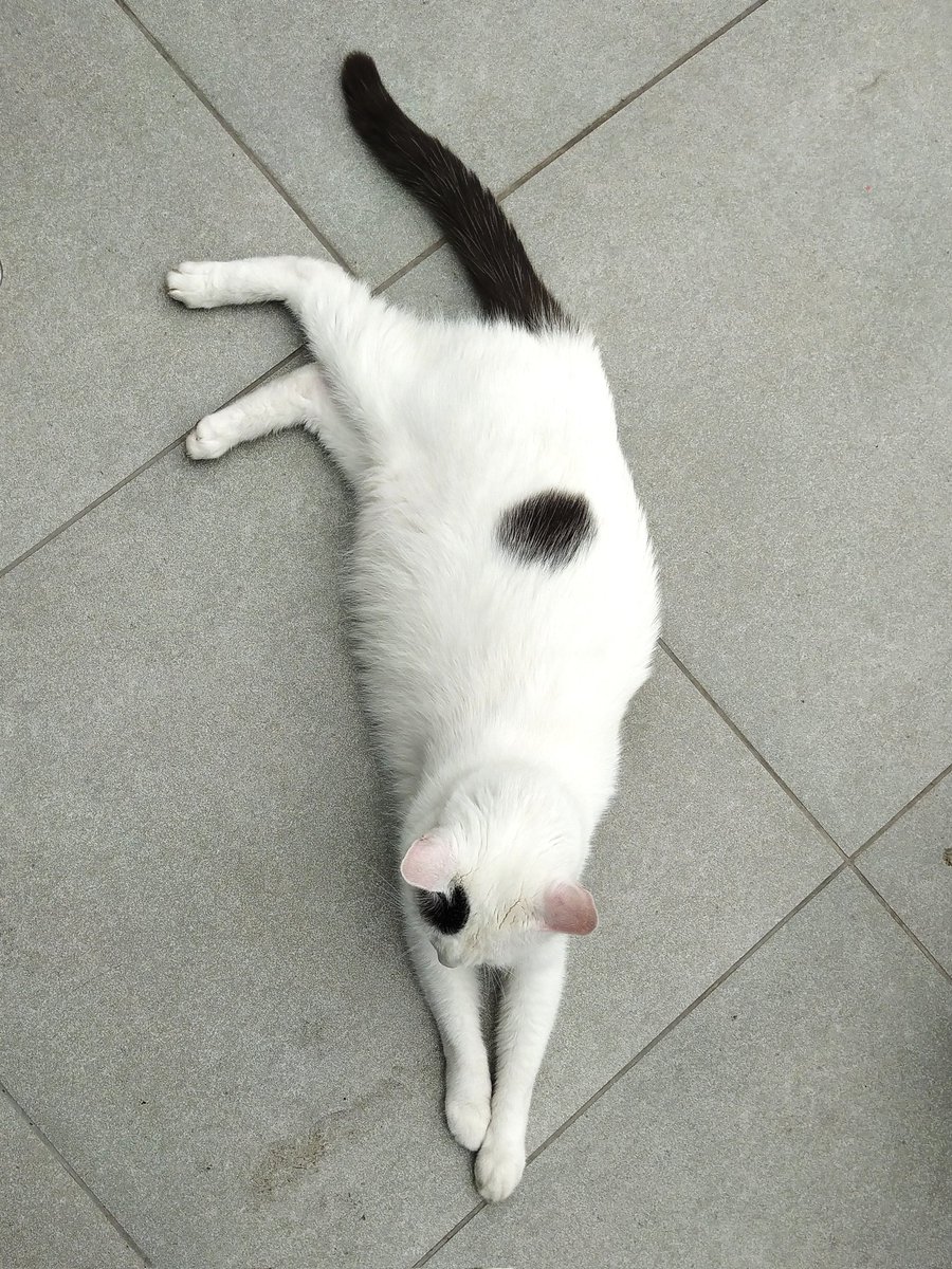 Sunday morning, Legolas says hi.