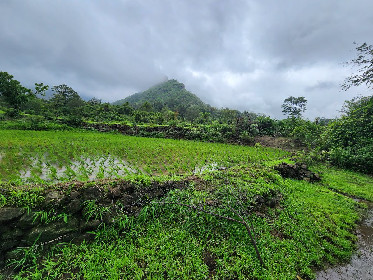 LifeMathMoney's tweet image. Trekking is one of the best hobbies for men.

There is the closeness to nature
There is the joy it brings to the male soul
There is the challenge of climbing a mountain

100% every man should trek.