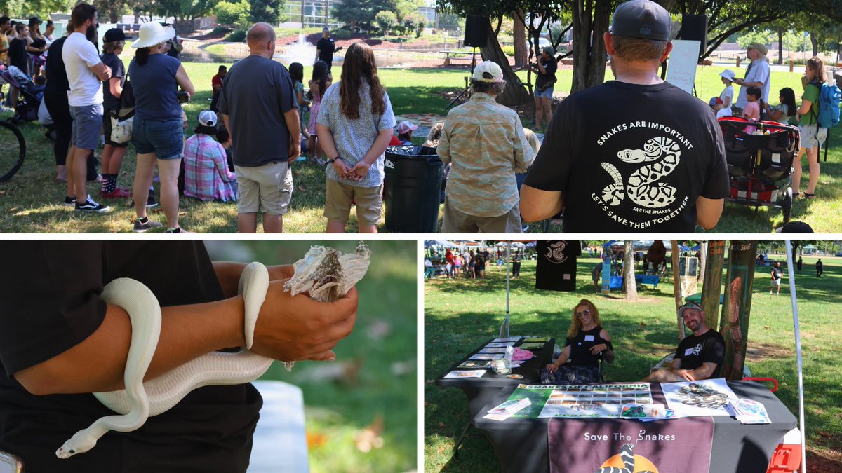 savethesnakes's tweet photo. Hundreds of people from all over California came out to show their support. Our team is so grateful!
Learn more stay tuned for #SacSnakeFest 2024!
https://t.co/UT2iozoTxh
Snakes are important, let's save them together. https://t.co/5wPoytFI8Y