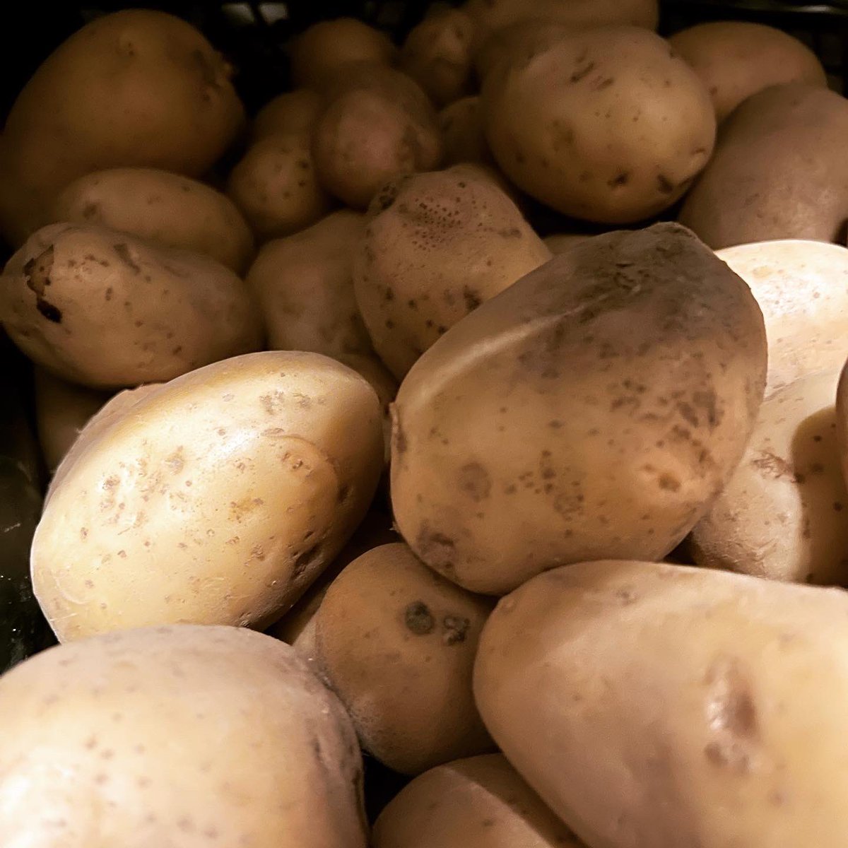 I piatti che trovate sulla nostra tavola non sono preparati con materie prime qualsiasi.
Selezioniamo con la massima cura ed attenzione i nostri fornitori e condividiamo con la maggior parte di loro la stessa filosofia e gli stessi valori.
#ristorante #cinqueterre #vernazza