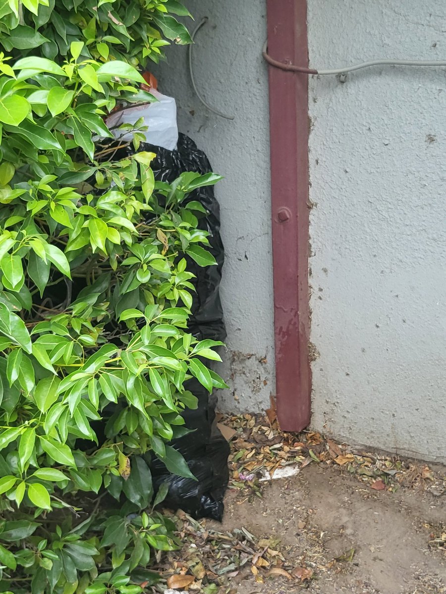 therealbigdiehl's tweet image. #onefresNo means campers in #SouthaShaw.