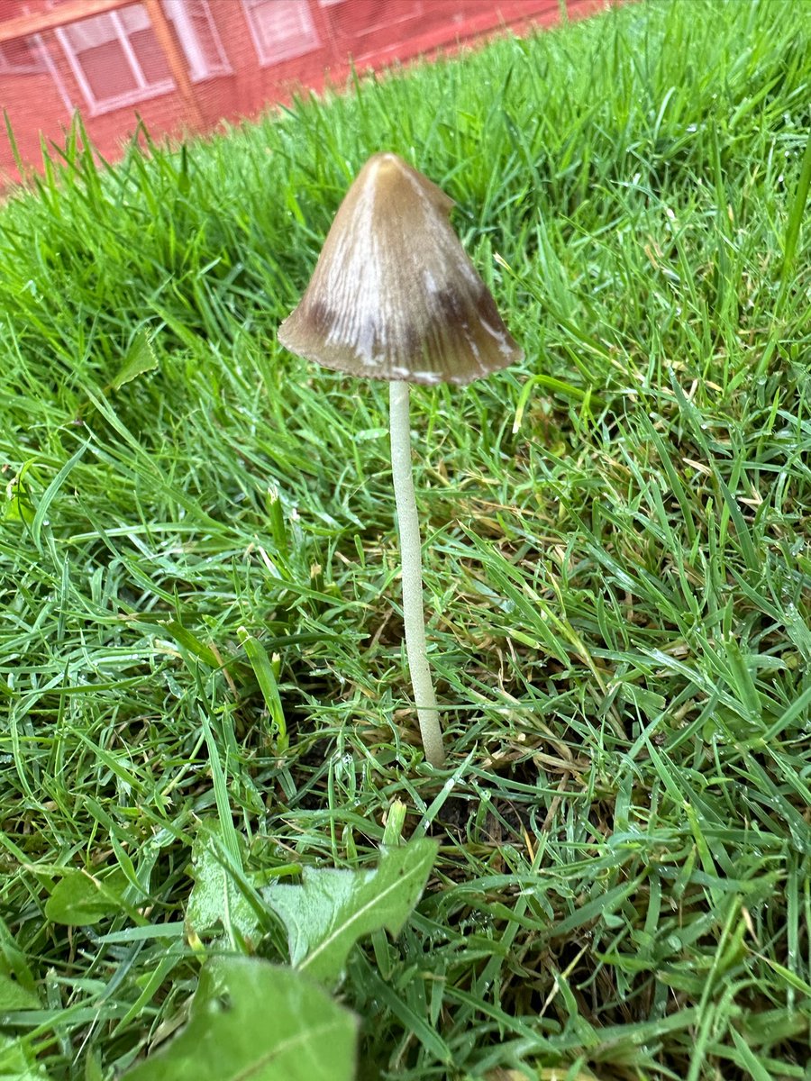 RandomRoman89's tweet image. 