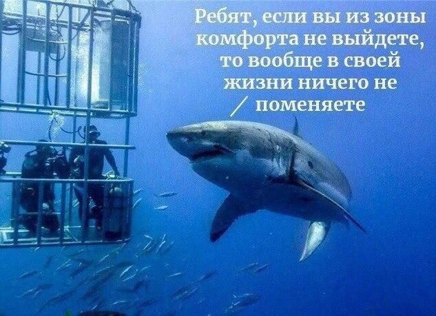 Alexander Moiseev (@sobergrim) on Twitter photo 