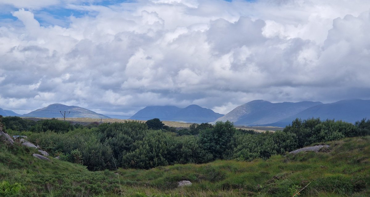 Emer O'Connell tweet media