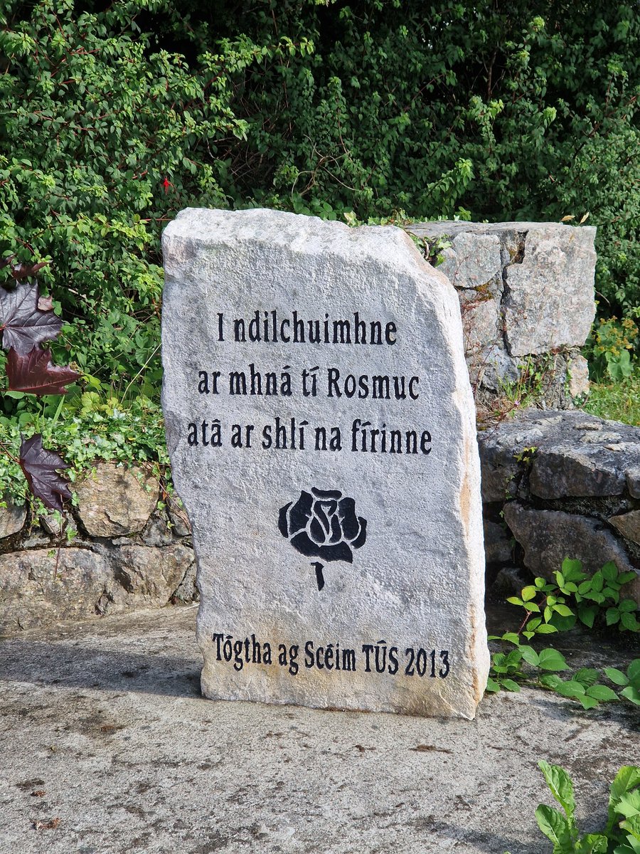 Emer O'Connell tweet media