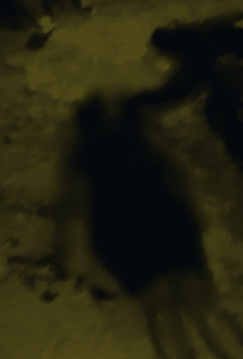 Bamenda: 9 persons killed as unidentified men attack Nacho junction #Cameroon #Africa mimimefoinfos.com/bamenda-9-pers…