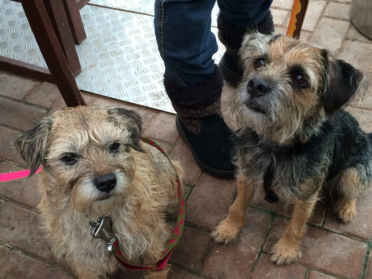 Sir Jack Spratticus GORB🌈 (Nessa) tweet media