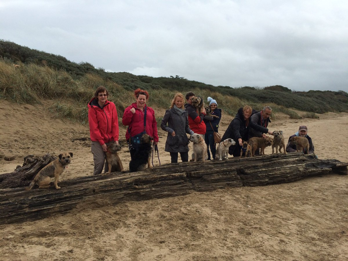 Sir Jack Spratticus GORB🌈 (Nessa) tweet media