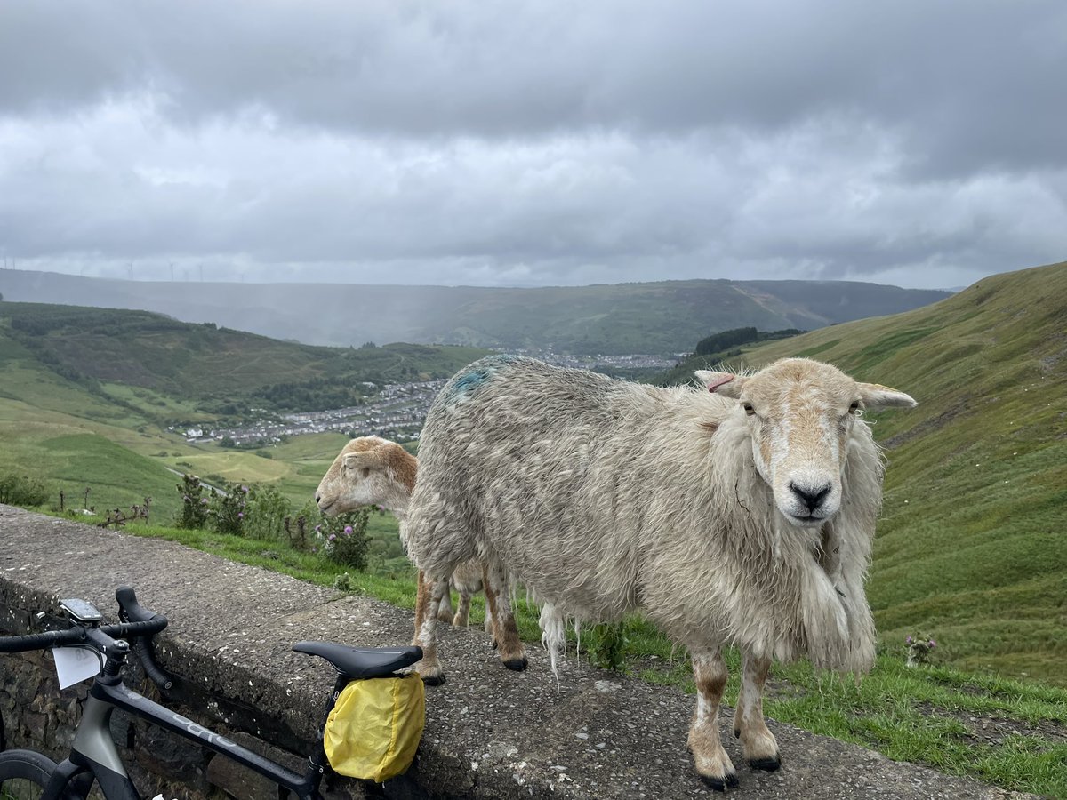 reelbigdawson's tweet photo. Great and tough day mastering @CastlesSportive It didn’t stop raining for the first 60k and a super windy decent off the Bwlch, but fabulous company and the sun eventually arrived! Thanks for organising @ShelterCymru @WhitchurchCycle #cycling https://t.co/0WtLTMd2Ks