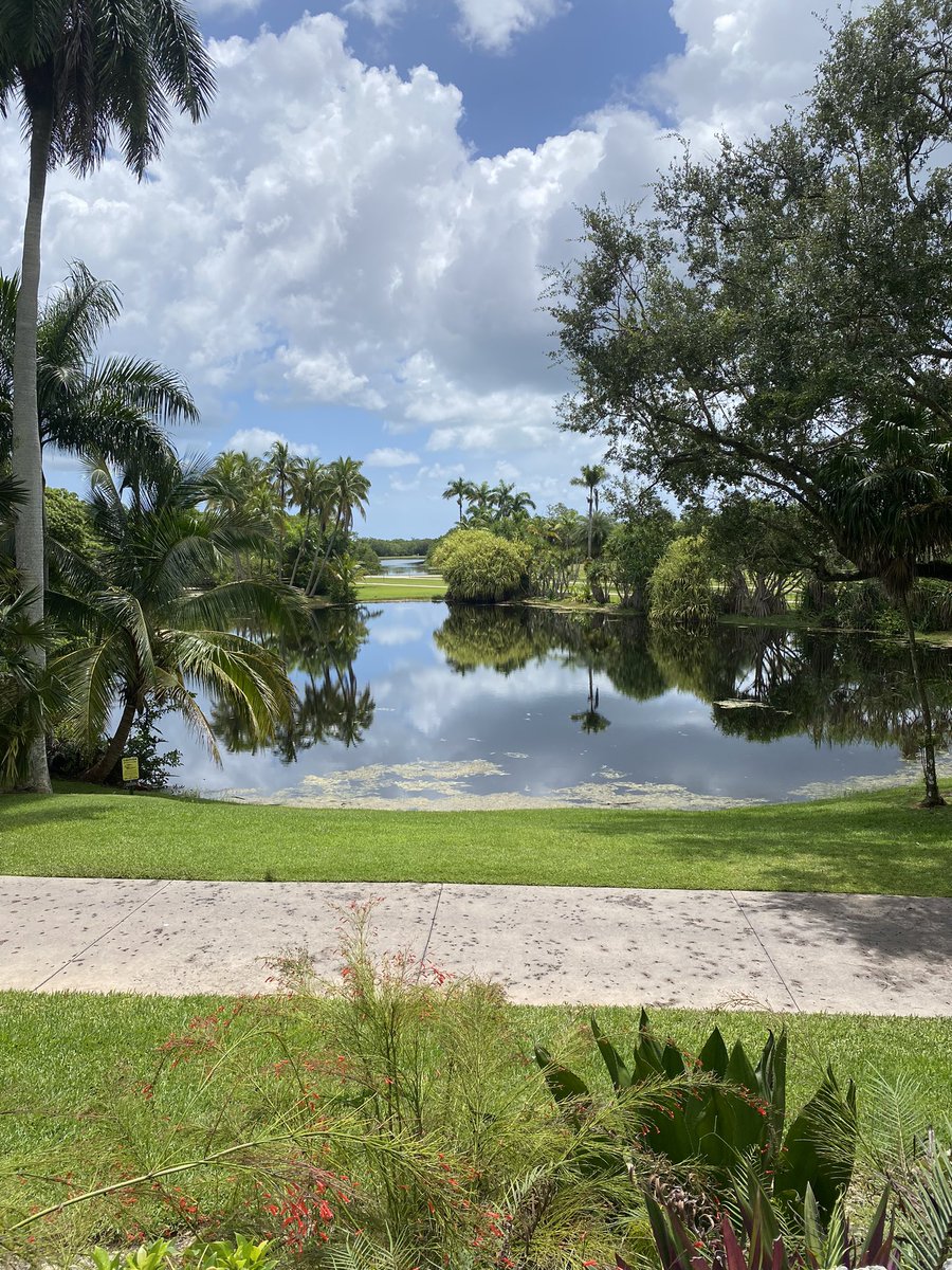 SaffranJennifer's tweet photo. @FairchildGarden https://t.co/zb4QXlOCJw