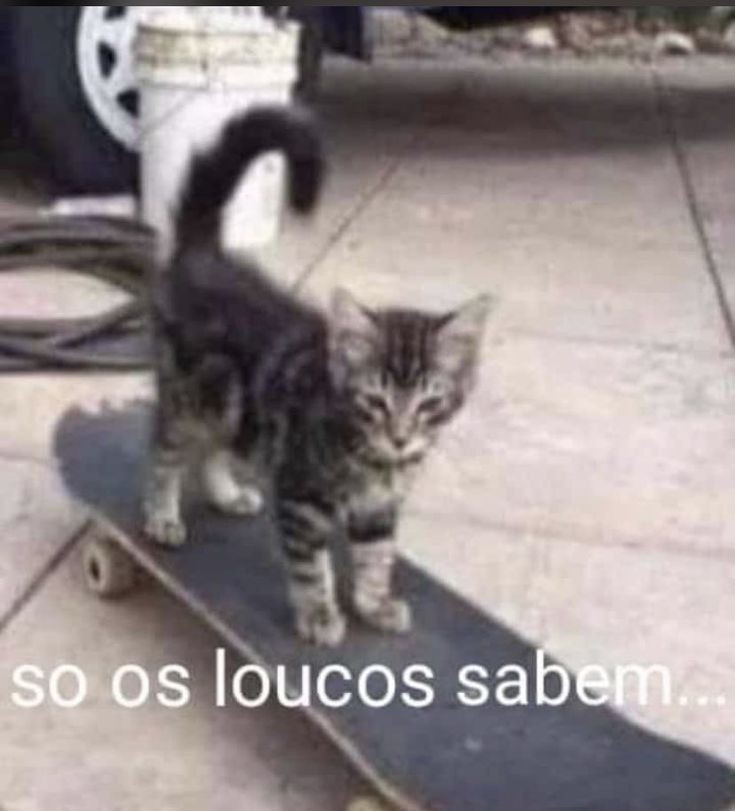 odeiootaco's tweet photo. https://t.co/tlhaxgIB5g