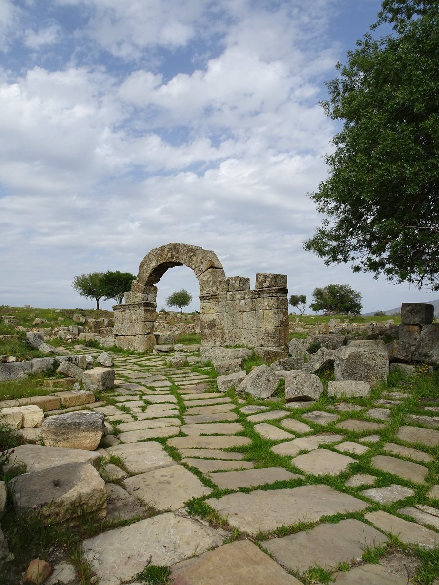 maelassal's tweet image. Thibilis (actuelle Announa) dans la wilaya de #Guelma (antique Calama). Dans cette ville, vivaient le sénateur Lucius Antistius Burrus, natif de Thibilis, et son épouse Vibia Aurelia Sabina, fille de l'empereur  #Marc_Aurèle et de l'impératrice #Faustine la Jeune. 🇩🇿

#Algérie