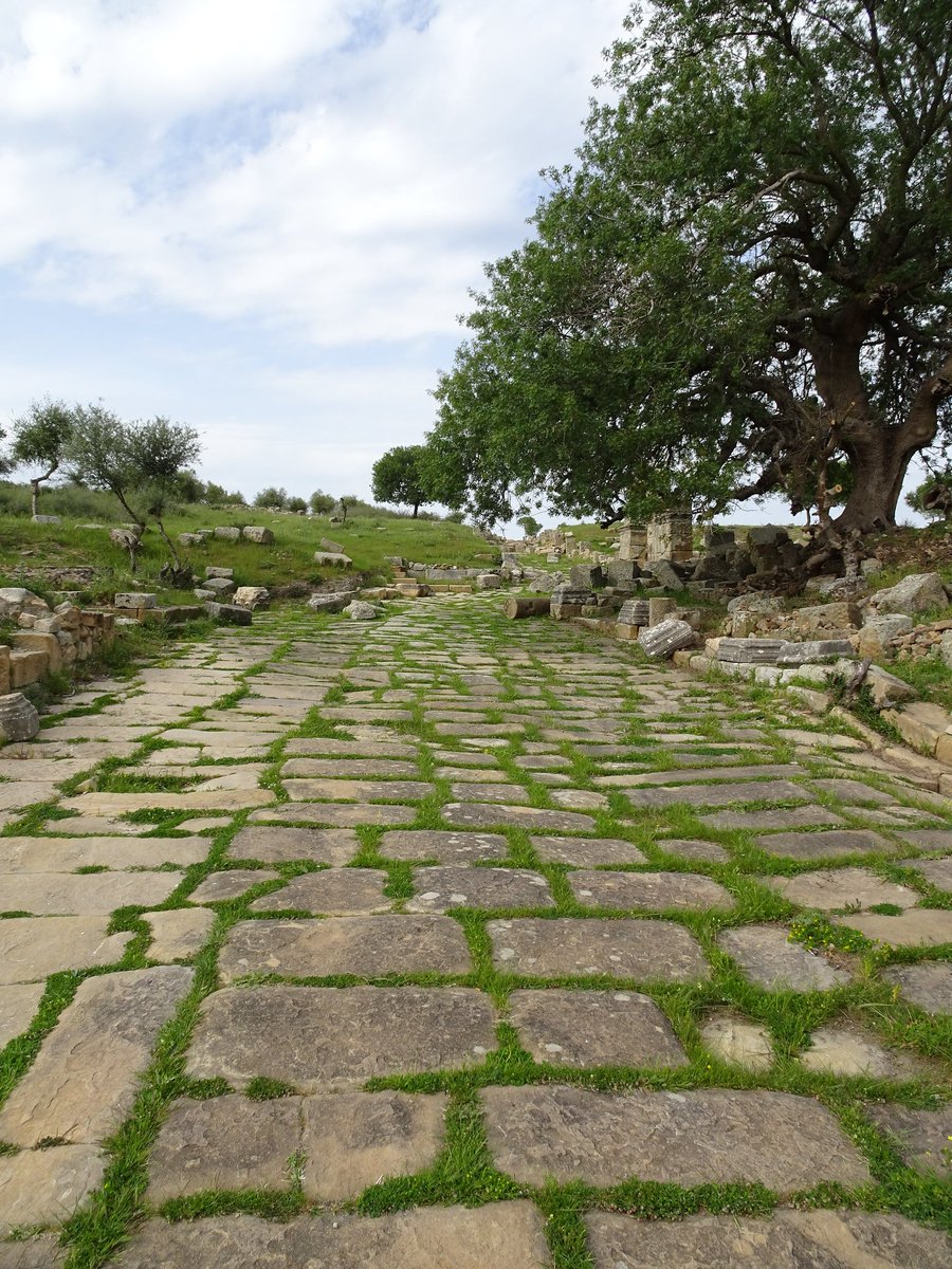 maelassal's tweet image. Thibilis (actuelle Announa) dans la wilaya de #Guelma (antique Calama). Dans cette ville, vivaient le sénateur Lucius Antistius Burrus, natif de Thibilis, et son épouse Vibia Aurelia Sabina, fille de l'empereur  #Marc_Aurèle et de l'impératrice #Faustine la Jeune. 🇩🇿

#Algérie