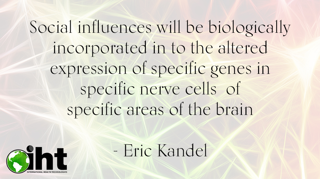 Social influences will be biologically incorporated in to the altered expression of specific genes in specific nerve cells of specific areas of the brain - Eric Kandel | #gene #brain #socialinfluence #nervecells