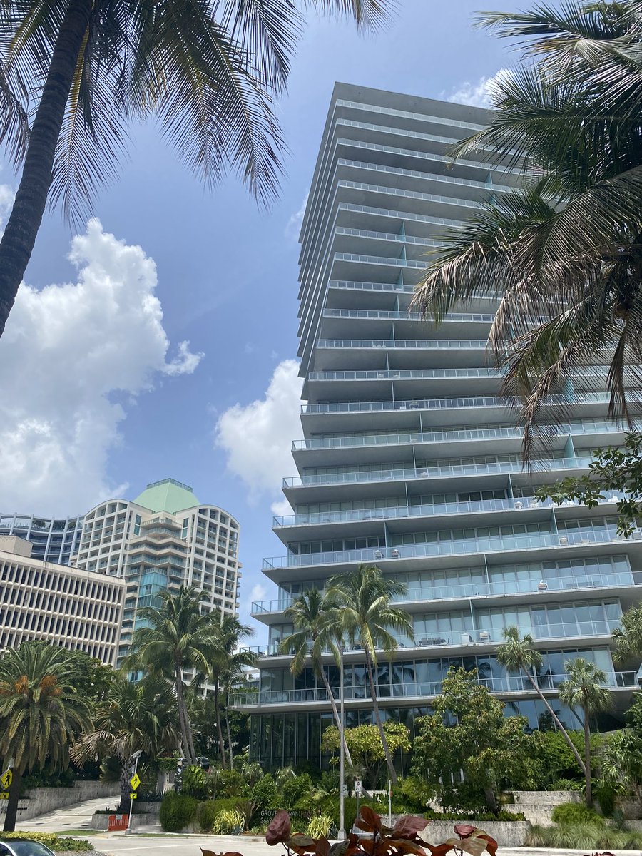 SaffranJennifer's tweet photo. Hanging in Miami. https://t.co/v4Ewvbqi5R