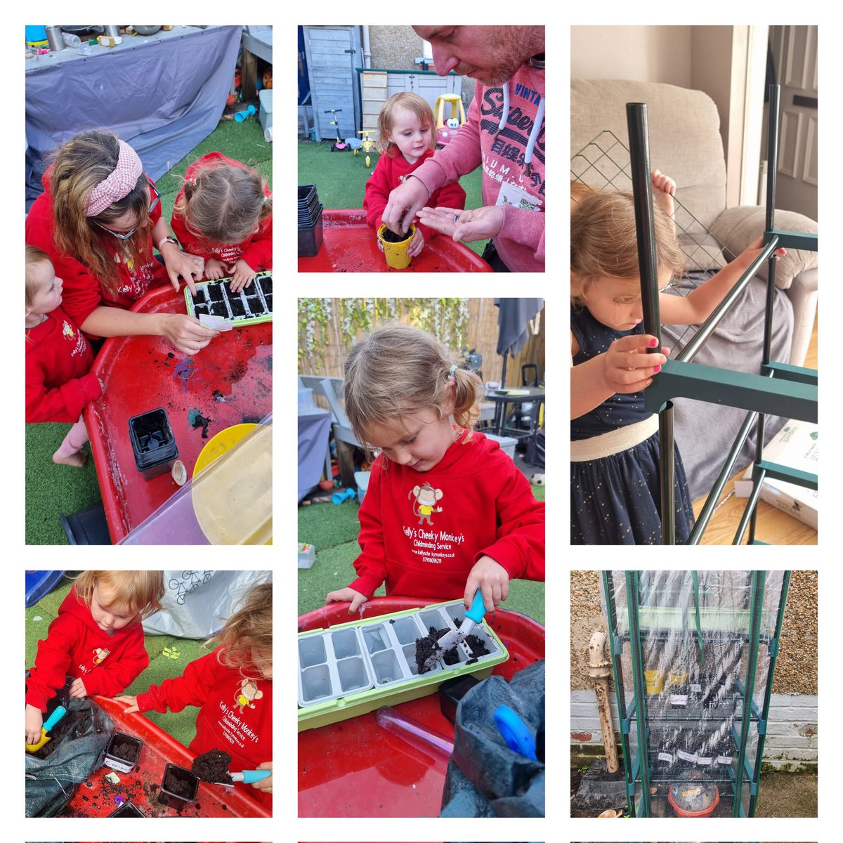 kelly_freck's tweet photo. @beanxnursery Emily has loved growing the sunflower kit from nursery 🌻. So we decided to help develop her interest at home aswell as nursery and we now have a greenhouse to grow our own herbs and vegetables to use for our dishes. 
#cookyourroots https://t.co/uhjyIFpnye