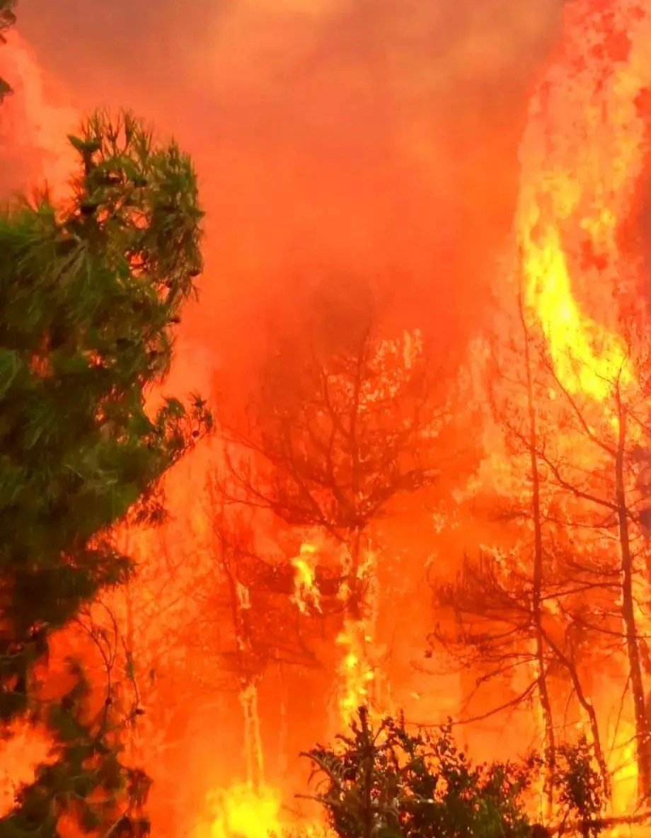 Nasıl bir sınavdan geçiyoruz bilmiyorum:(
#hatay