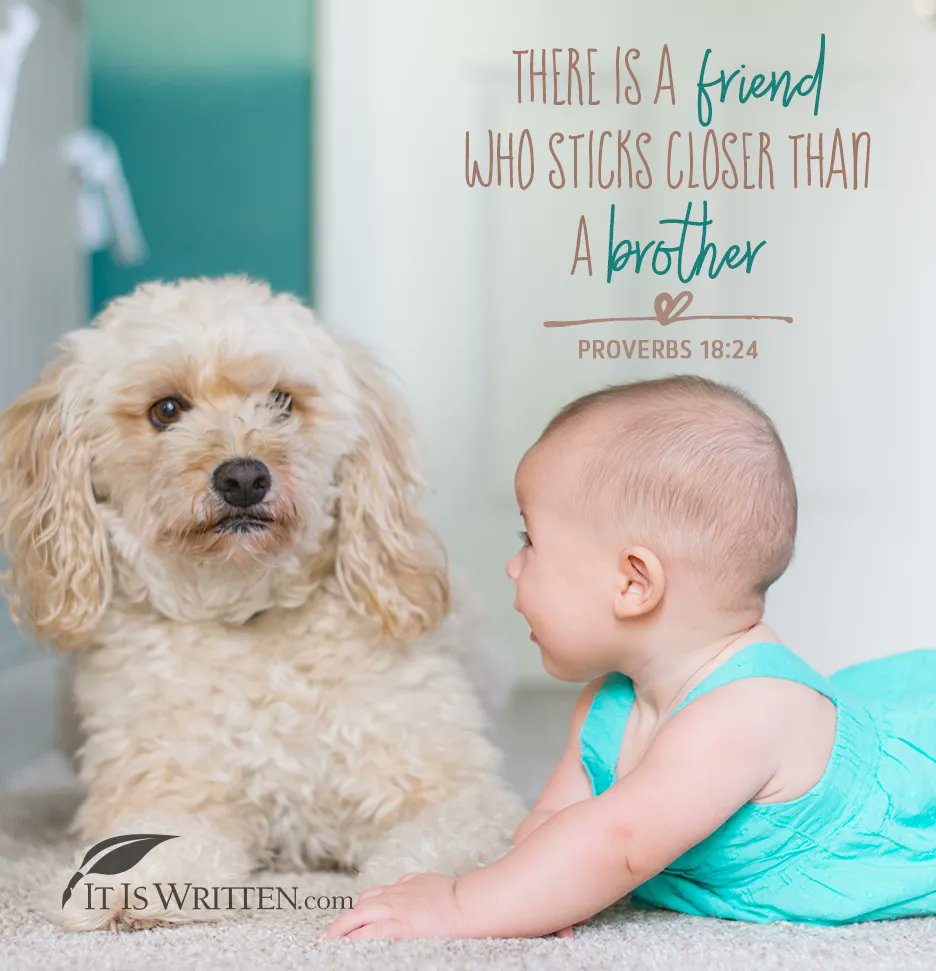 💞 

#friend #connect #happy #relief #love #share #fun #care #hope #cute #itiswritten #verseoftheday #inspirational #salvation #God #Jesus #HolySpirit #Christ #blessed #goodnews #gospel #Bible #photooftheday #scripture #iiw
