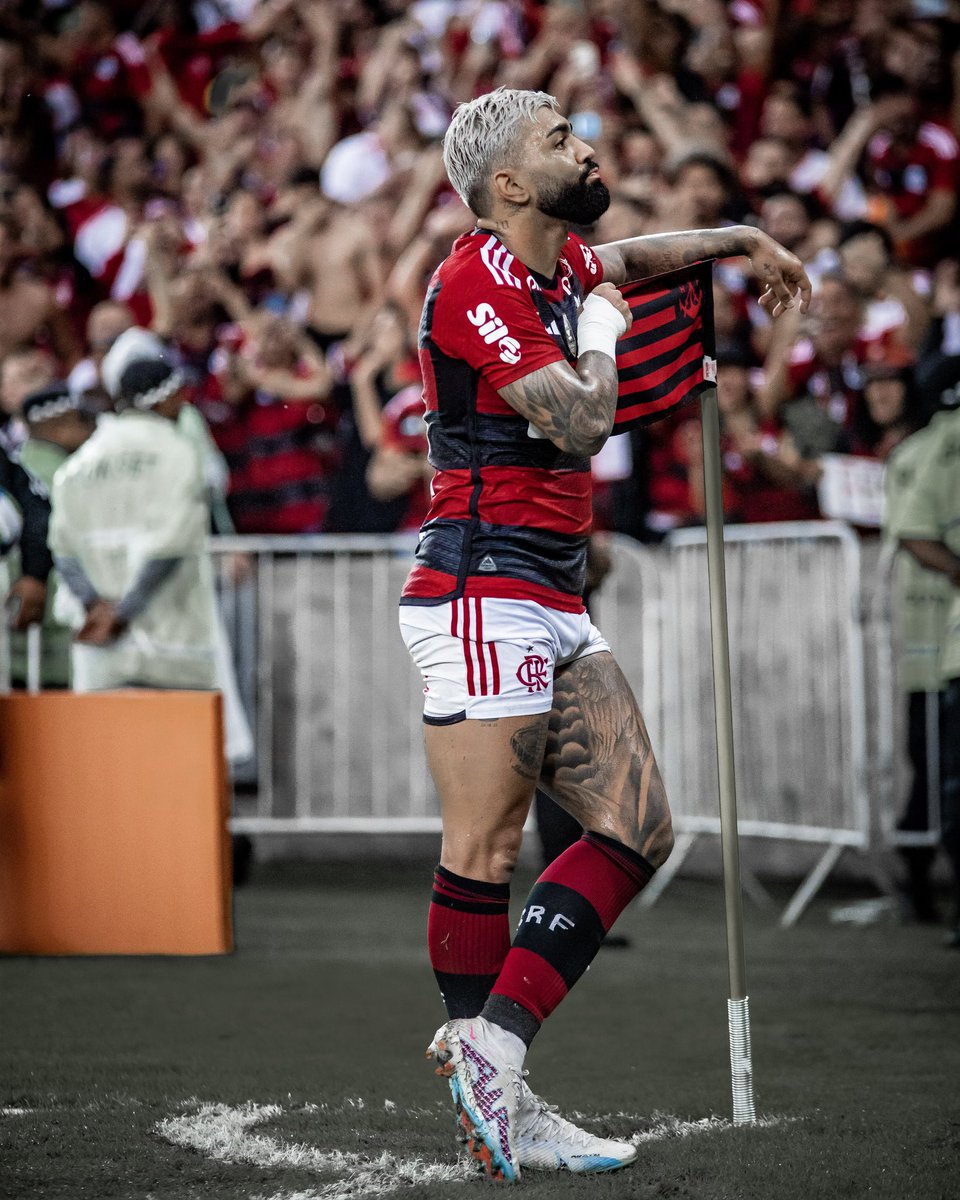 jota tweet media