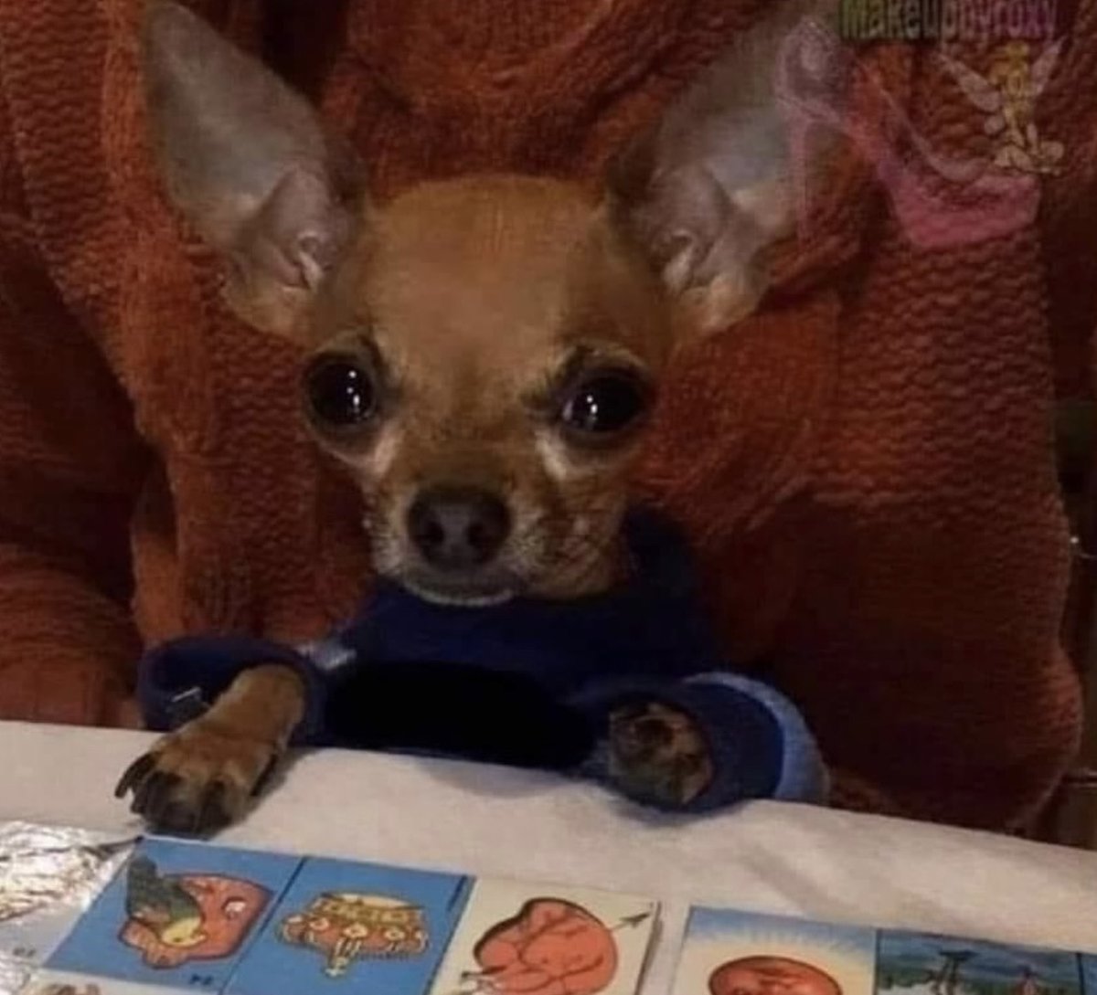 Cuando vas a poner tu primera ficha y gritan lotería.