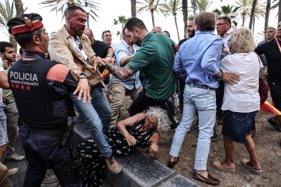 torrents_d's tweet photo. Aquesta gran foto d’@angelgarciafoto resumeix l’atac d’Ignacio Garriga contra els manifestants avui a #Badalona. Tot el meu suport als manifestants que han plantat cara a VOX. I espero que el Conseller @joanignasielena actuï contra l’acció de VOX avui, això no pot quedar sense cap acció!!
