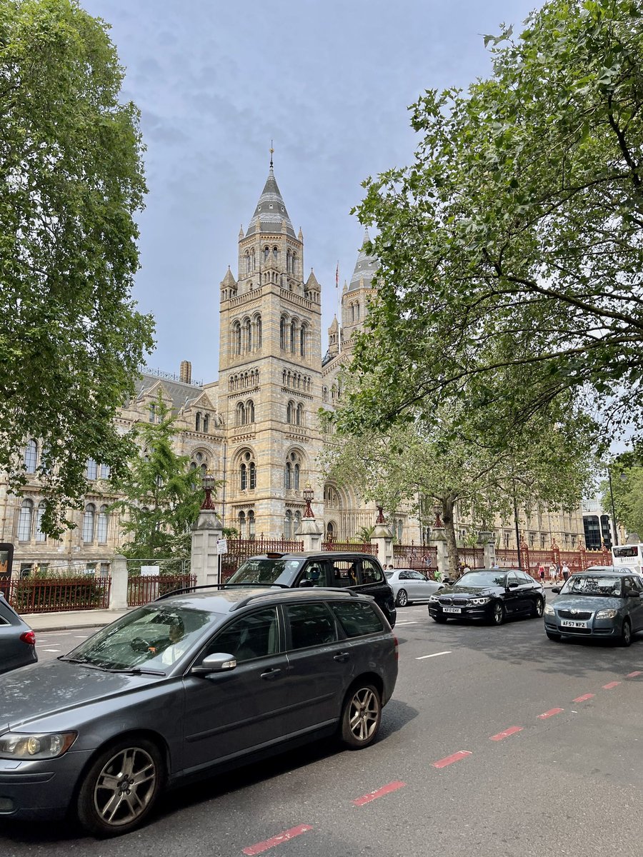 fuckytwo's tweet image. 