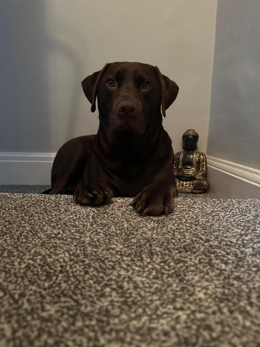 Rachel 💙🙏🏽 tweet media