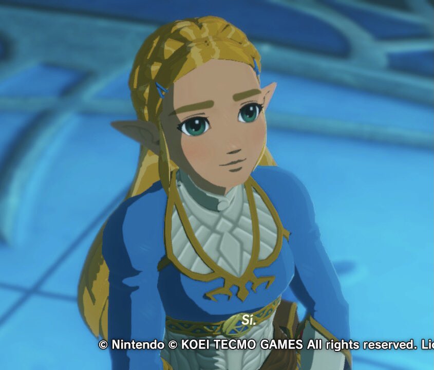 🐉Little Bird Zelda🐉 tweet media