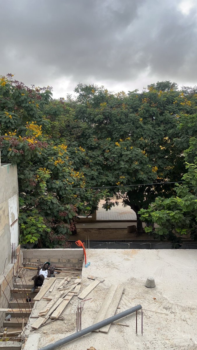 Abou Kalabante 🇸🇳 tweet media