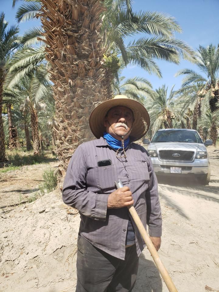 UFWupdates's tweet photo. Farm workers in Coachella CA are bracing for a heat wave that will see the temp on this day soar to 120°. Farm workers are encouraged to dress in layers to protect themselves from the blazing sun, take water and rest breaks as needed &amp; seek shade when possible. #WeFeedYou #CALOR https://t.co/GttsYfoWJi