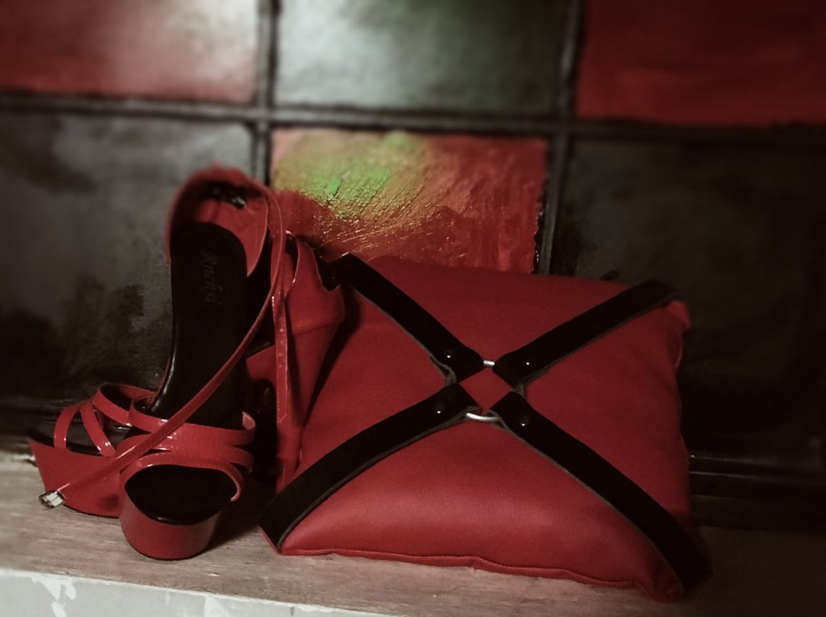 Para celebrar nuestro aniversario hemos decidido realizar el sorteo de este magnífico cojín. Las instrucciones muy simples

-Seguir a la cuenta <a href="/ElRefugioGr/">ElRefugio</a>
-Seguir a la cuenta <a href="/AmesureBDSM/">Amesure BDSM</a>
-Hacer retwit
-Mencionar a dos amiguis

El sorteo se realizará el 22/07 en el evento