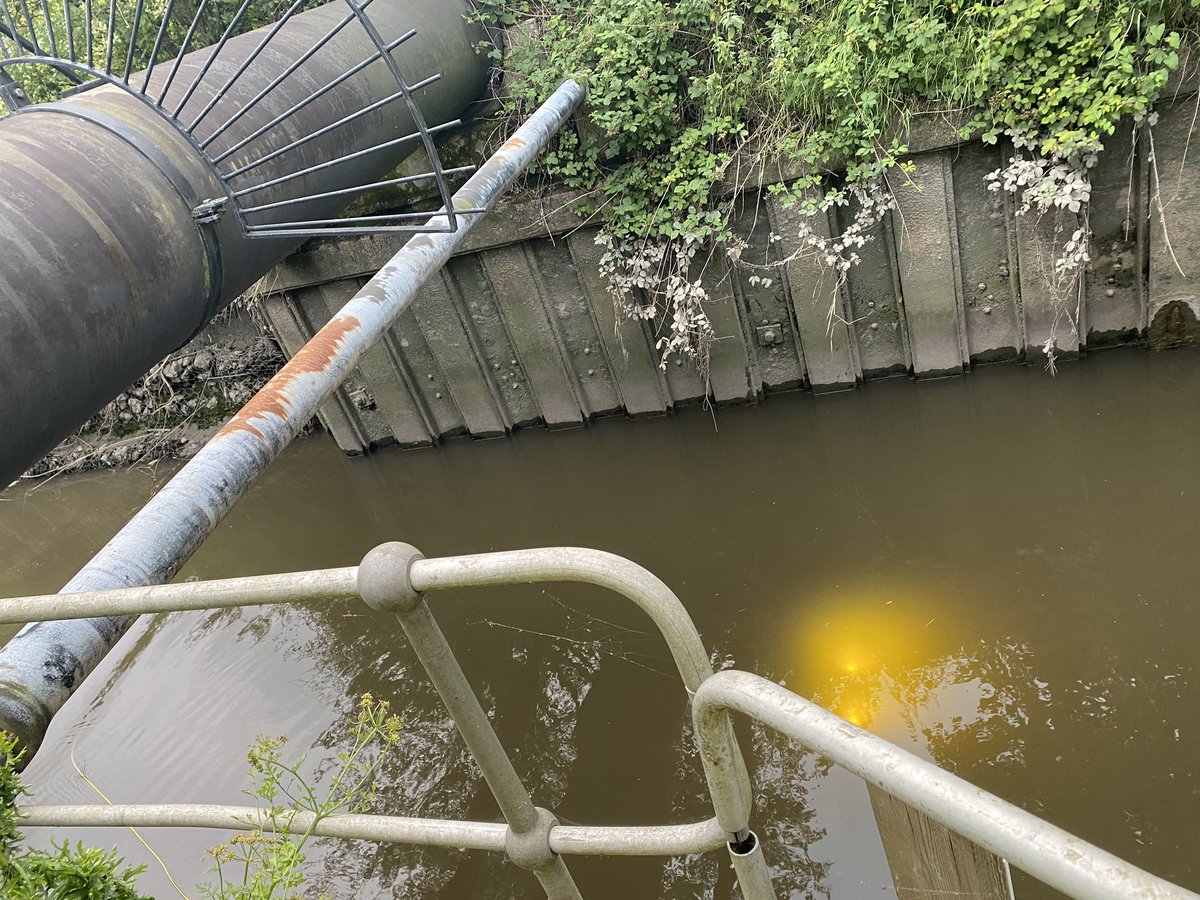 Ian Armistead tweet media