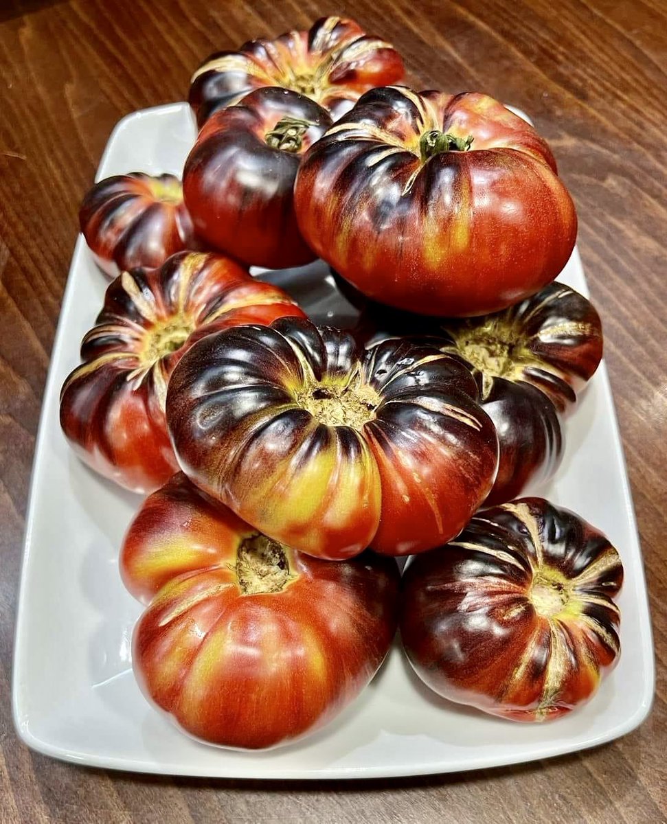 Espectacular tomate 🍅 de la huerta de Ferrol en @mesonpicasso #foodie #Gastronomia #pilgrim #Galicia #ferrol #cousasdegalicia
