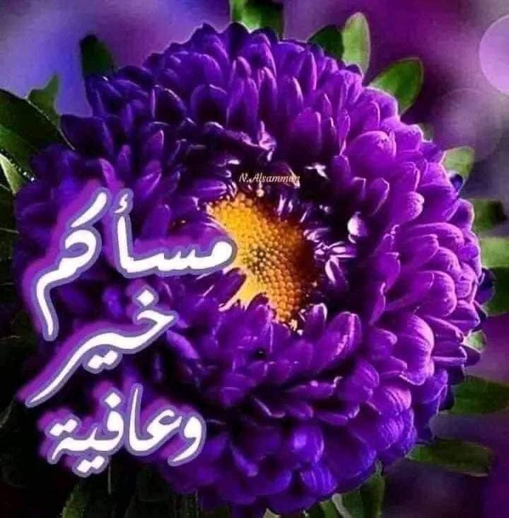 إعتني جيداً بمنشوراتك
فهناك أشخاص يراقبونك بـصمت
يقرؤون ما تنشر… ويقرؤن  الردود 
 فلا يغرنك كثرة الغوغاء من حولك  لانني متاكد انهم لم يقرؤوا النشر ولم يفهموه سوى النضر  الى الصور !!!اعتني بمنشوراتك وماتؤمن به لأن هفوات الكلام تجعلك في مستنقعات الرذيلة… الجميع