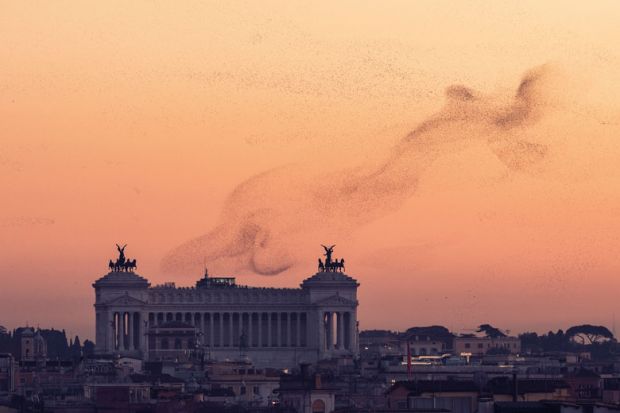 timeshighered's tweet photo. Studying flocks of starlings helped @giorgioparisi crack some of physics’ deepest mysteries. The #Nobelist talks to @MatthewReiszTHE about his unconventional methods, missed eureka moments and being Italy’s most in-demand scientist
https://t.co/oQbtmA1ypQ https://t.co/eR2ekWSLpR