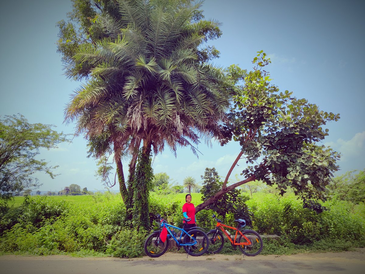 Additional Collector (LB), Medak tweet media