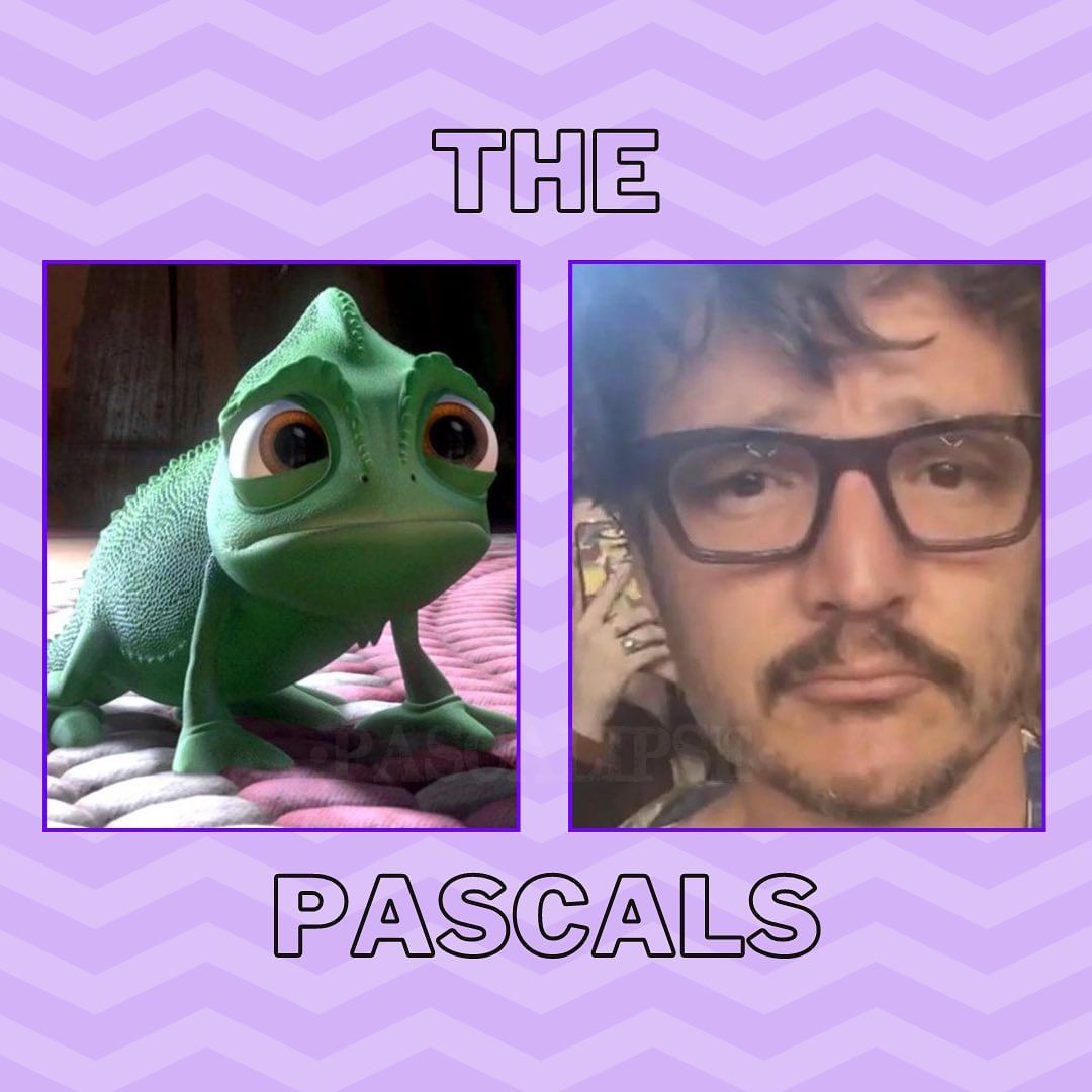 pascalypse's tweet photo. Brothers. 😂
#PedroPascal #pedropascalmemes #pedropascalbrasil #pascalipse #pedropascalfanpage https://t.co/u2M7a7yv79