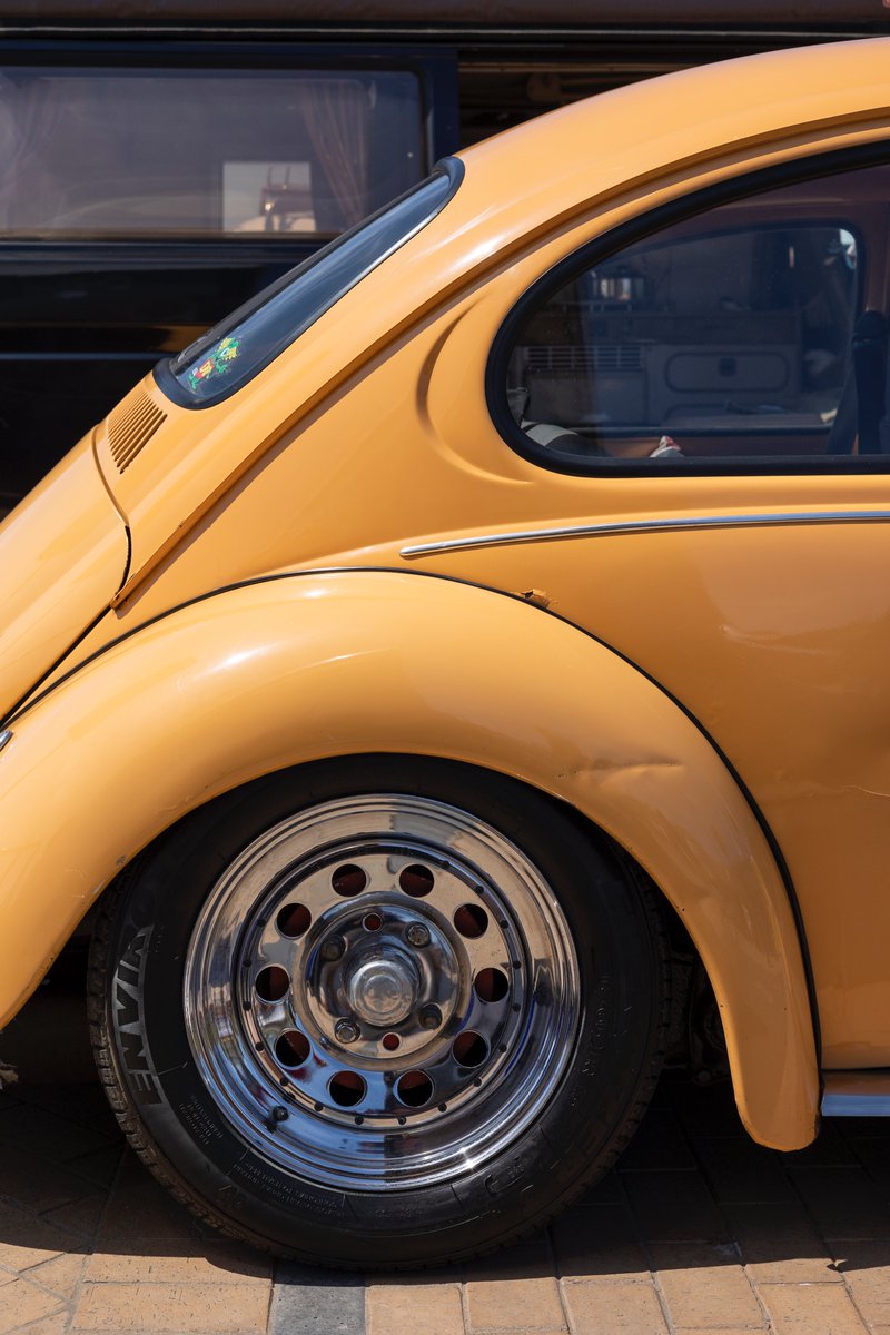 HallPhotographic tweet media