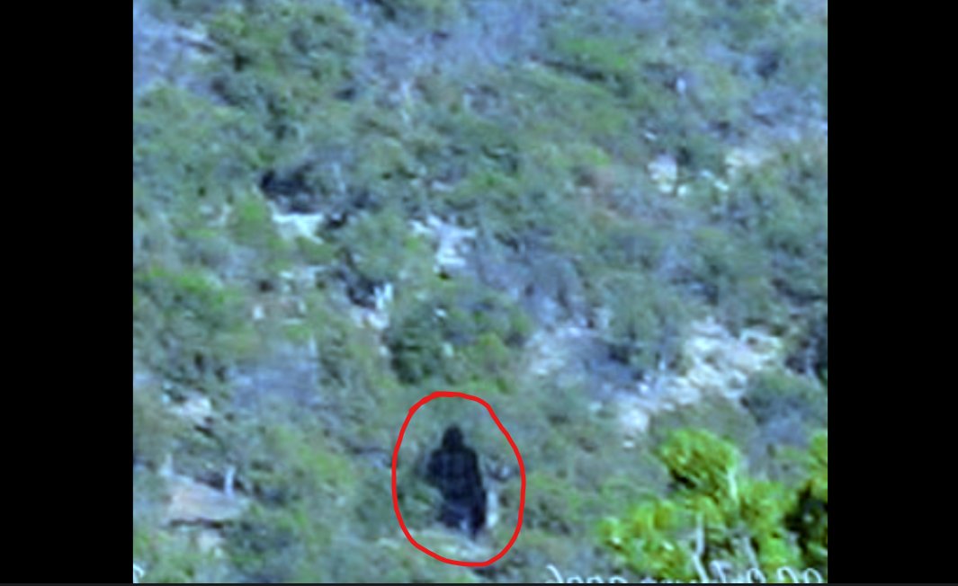 RMSO Bigfoot on Twitter "Taos County Bigfoot Warning by Sheriffs