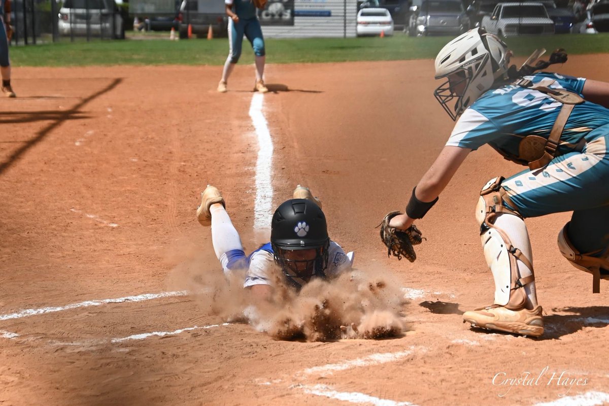 Bre Hayes tweet media