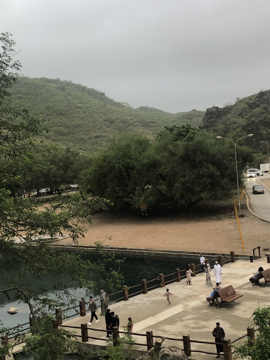 عشوائيات #خريف_صلالة_2023