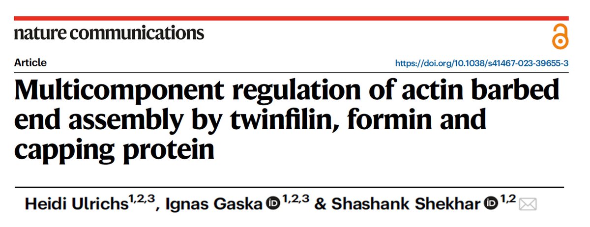 📢Lab's first paper just out in Nature Communications! Please RT. Actin duels : twinfilin-formin-capping protein multicomponent ecosystem regulates actin assembly at filament barbed ends. By @Heidis_Cells and Ignas Gaska. @EmoryUniversity nature.com/articles/s4146… 1/n
