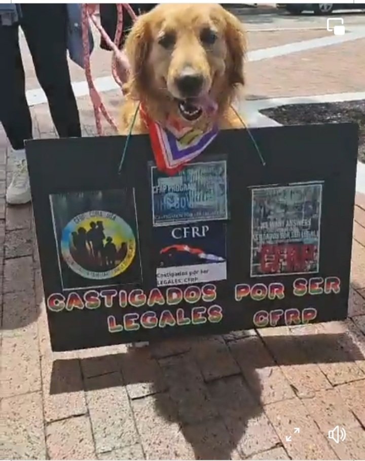 Apoyo total a la reunificacion familiar #CFRP y todas las categorías en la union esta la fuerza pedimos ser procesados <a href="/MarioJPenton/">Mario J. Pentón</a> <a href="/MaElviraSalazar/">María Elvira Salazar 🇺🇸</a> <a href="/USCIS_es/">USCIS Español</a> #castigadosporserlegales