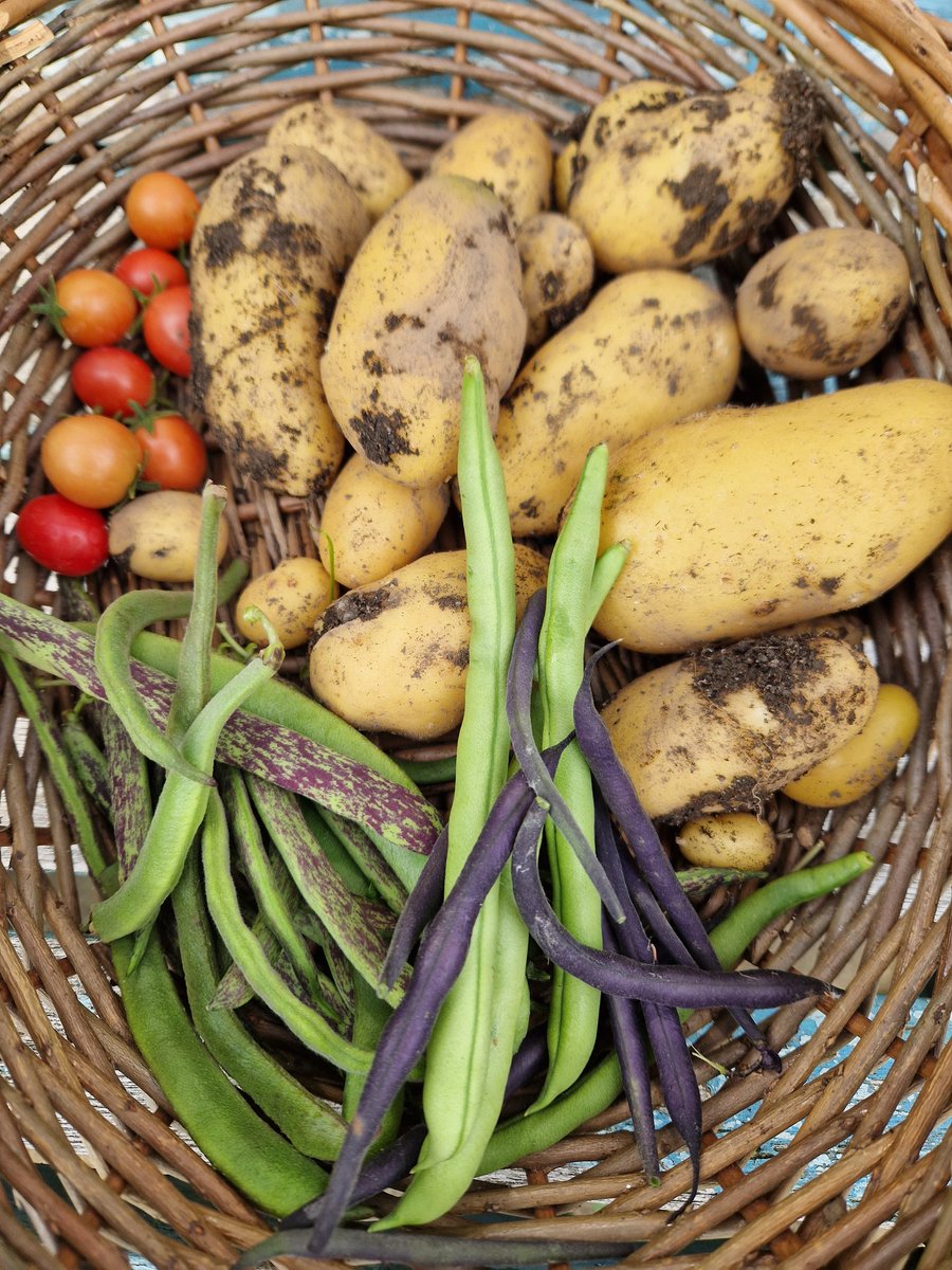 Milly Fyfe ® tweet media