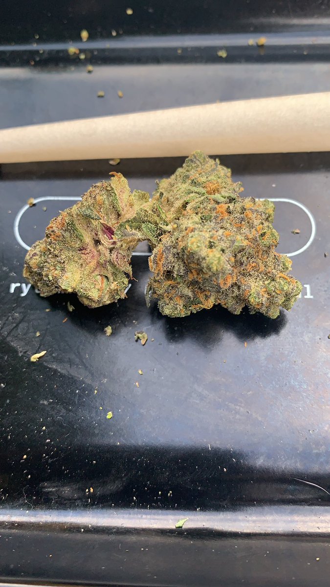 IceburghSlimm's tweet photo. @Herbworthy Compound Z and RS 11 #ThisIsFlower #StraneGang 😶🌫️🔥💨🙌🏾🤙🏾🤟🏾 https://t.co/HwcZcoRtxc