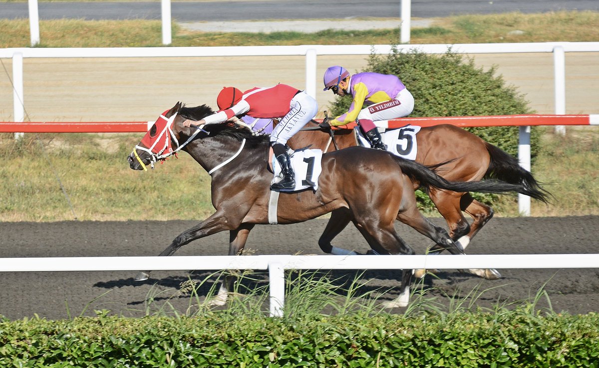 ismin gibi   sen pistlerin   altını  olcaksin inşallah