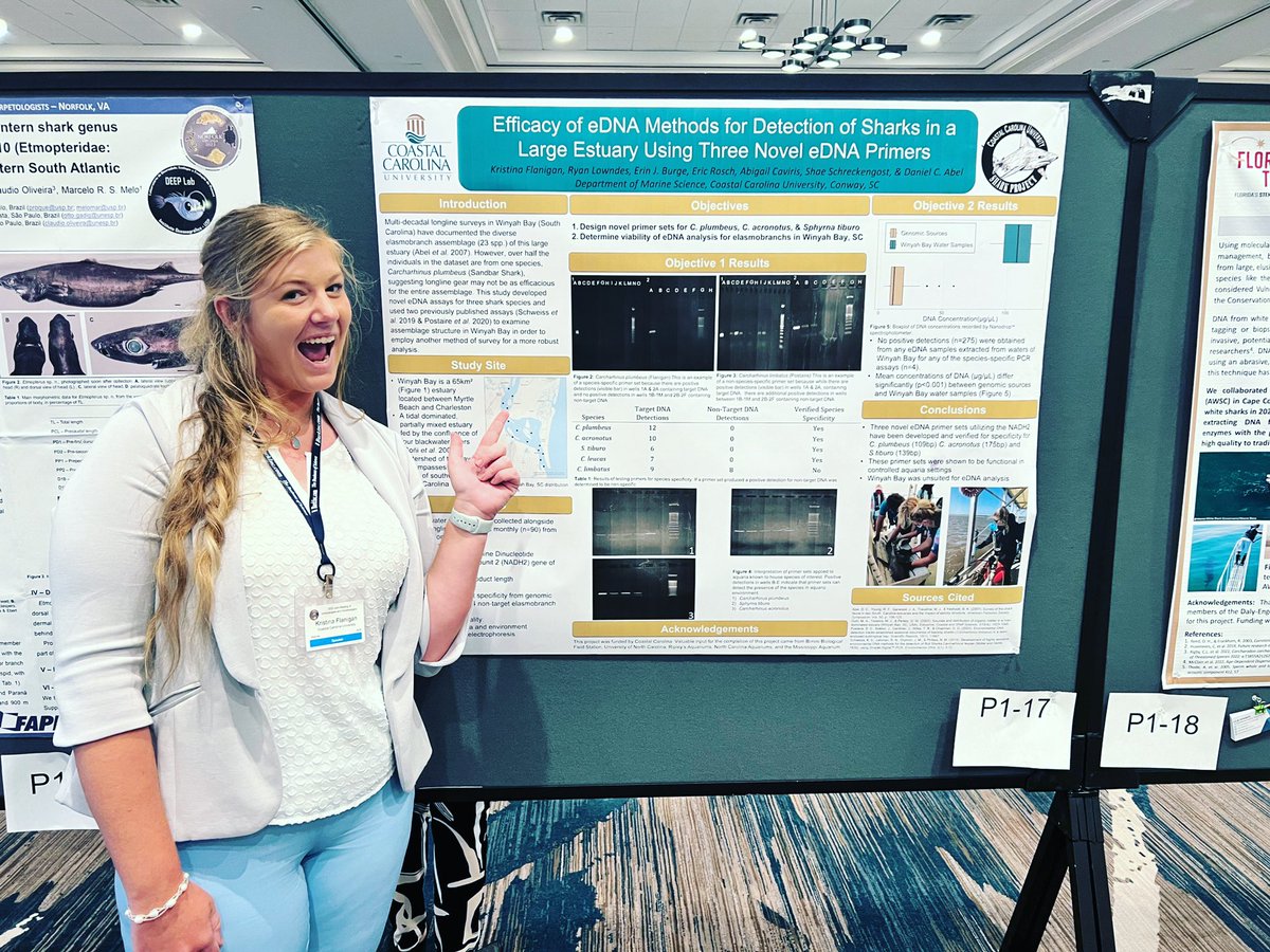 tina_flani's tweet photo. I had the most amazing time in Norfolk presenting my research at this year’s American Elasmobranch Conference. Thank you to everyone who stopped by to ask questions about my project. Many thanks to those who supported me and made this research possible. #JMIH23 https://t.co/8EMkTJtaKZ